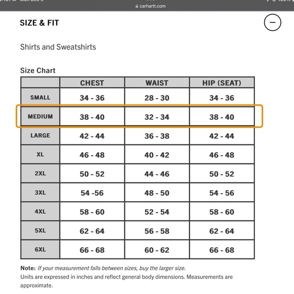 NWOT CARHARTT LOOSE FIT HEAVYWEIGHT SHORT SLEEVE LOGO TSHIRT SZ Med Pale Apricot - Picture 4 of 9